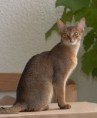 /album/fotogaleria/kamee01-jpg1/